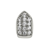 Bling Bling CZ Single Tooth Grillz Bottom Silver